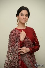 Tamannaah at Speedunnodu Movie Audio Launch